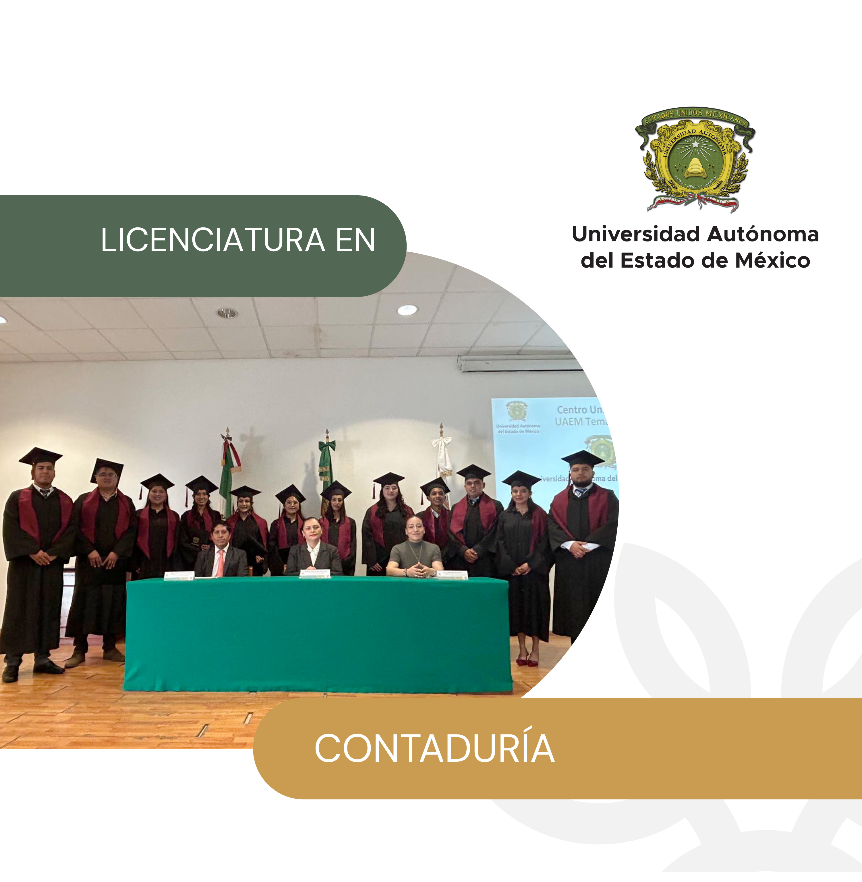LICENCIATURA EN CONTADURÍA Image