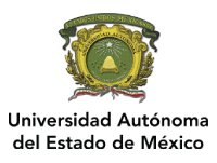Centro Universitario UAEM Temascaltepec